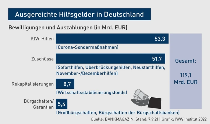BBP-Grafik1_Ausgereichte Hilfsgelder in Deutschland.eps (© IWW Institut) BBP-Grafik1_Ausgereichte Hilfsgelder in Deutschland.eps (© IWW Institut)