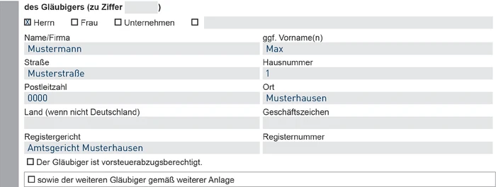 Vollstreckungsauftrag_Gerichtsvollzieher_VE-06-23_Seite2-4.eps (© IWW Institut) Vollstreckungsauftrag_Gerichtsvollzieher_VE-06-23_Seite2-4.eps (© IWW Institut)