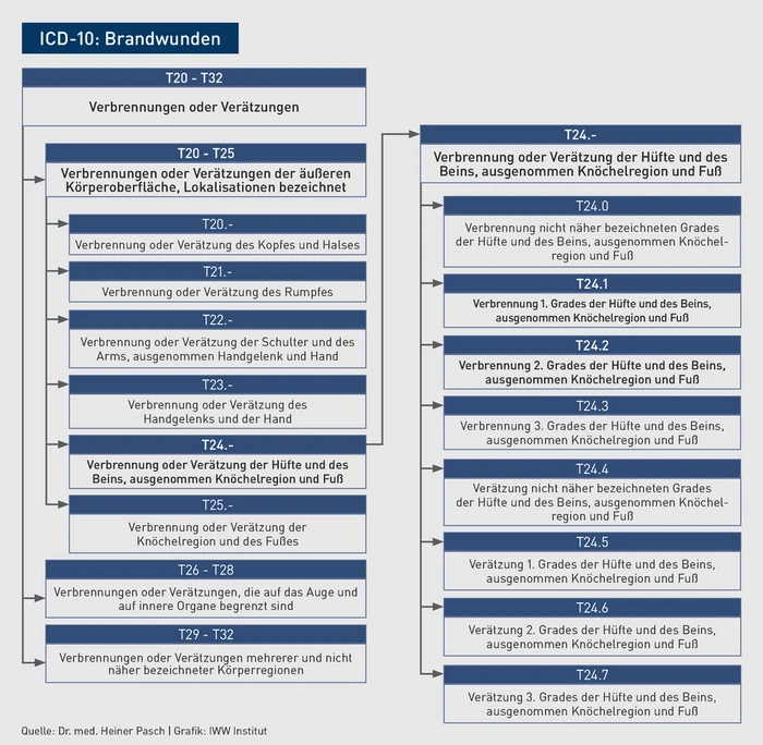 Grafik_ICD-10_Brandwunden.eps (© IWW Institut) Grafik_ICD-10_Brandwunden.eps (© IWW Institut)
