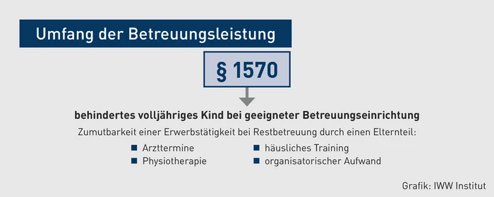 FK-05.2024_Grafik_Umfang der Betreuungsleistung.eps (&copy; IWW Institut)