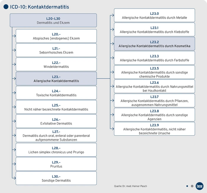AAA-02.2026_Grafik_ICD10_Kontaktdermatitis.eps (Bild: IWW) AAA-02.2026_Grafik_ICD10_Kontaktdermatitis.eps (Bild: IWW)