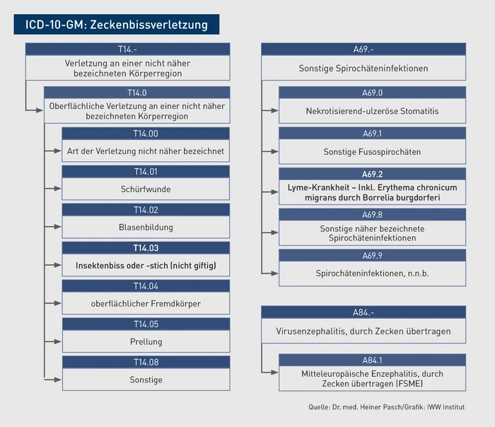 AAA_Grafik_ICD_Z_Zeckenbiss.eps (© IWW Institut) AAA_Grafik_ICD_Z_Zeckenbiss.eps (© IWW Institut)