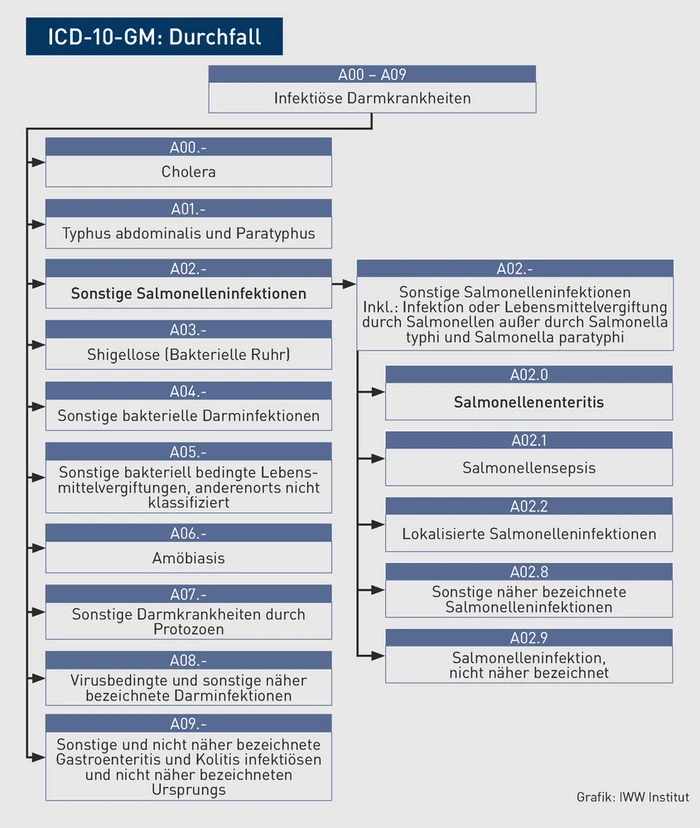 AAA-Grafik_ICD_Durchfall.eps (Bild: IWW Institut) AAA-Grafik_ICD_Durchfall.eps (Bild: IWW Institut)