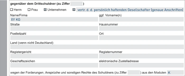 Entwurf_Pfändungsbeschluss_VE-04-24_Seite4-2.eps (© IWW Institut) Entwurf_Pfändungsbeschluss_VE-04-24_Seite4-2.eps (© IWW Institut)