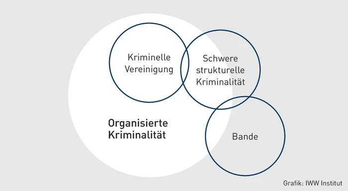 PStR-10.2024_Grafik_Organisierte Kriminalität.eps (© IWW Institut) PStR-10.2024_Grafik_Organisierte Kriminalität.eps (© IWW Institut)